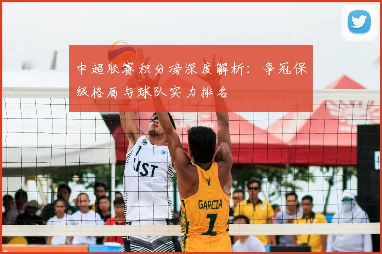 中超联赛积分榜深度解析：争冠保级格局与球队实力排名